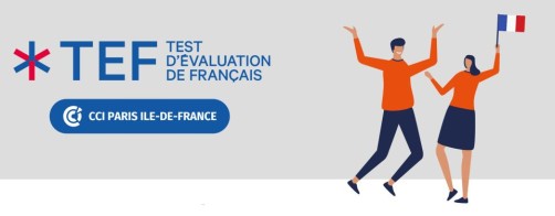 TEF French Certification - Alliance Française Cambridge & Norwich